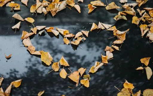 Heart Song Inner Journey