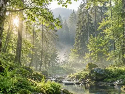Heart Spa | Guided Heart Coherence Meditation