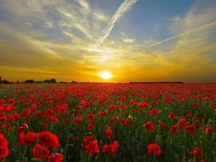 Heart Space Connection