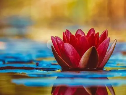 Heart Space Exploration (+10 Minutes Of Practice)