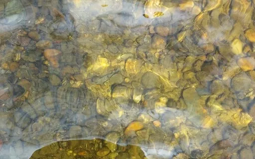 Heart Space Meditation