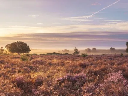 Heart Space Meditation