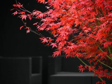 Heart Space Meditation