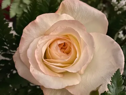 Heart Strengthening Meditation