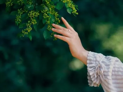 Forest Bathing Heart-Focused Qi Gong