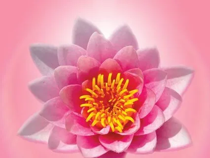 Heart Vibes Piano, Vol.1 (Full Version)