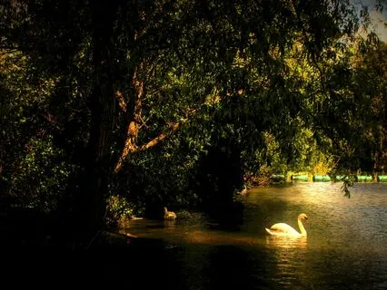 Heart Vision Meditative Song