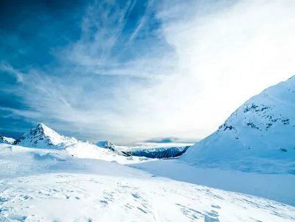 Heartbeat Harmony Awakens