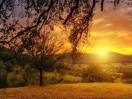 Heartbeat Harmony for Anxiety Relief