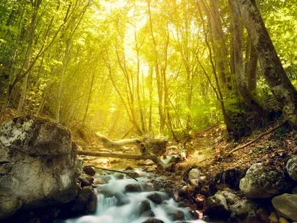 Heartbeat Healing - Live Performance On Synthesizers