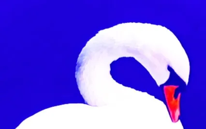 Heartbreak Expands The Heart