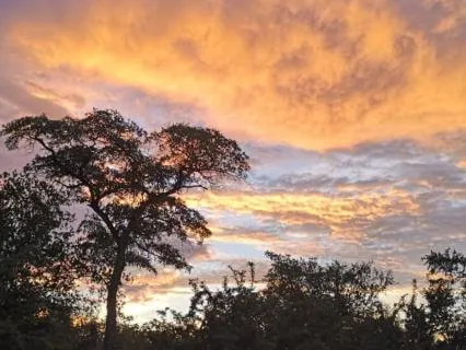 Heartbreak Healing For Deep Sleep