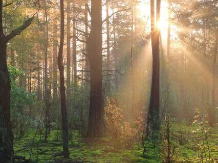 Heartbreak Practice | Finding A Moment Of Self-Care