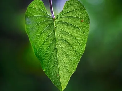 Heartbreak Series Day 2 - The Hidden Gift