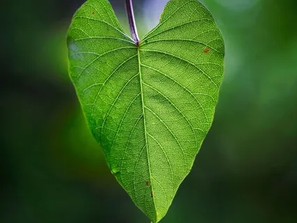 Heartbreak Series Day 6 - Ocean Visualisation