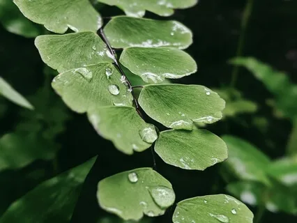 Heartfelt Forgiveness Part 2: Forgiving Others