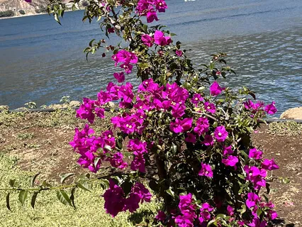 Heartfulness Loving Kindness For Ourselves