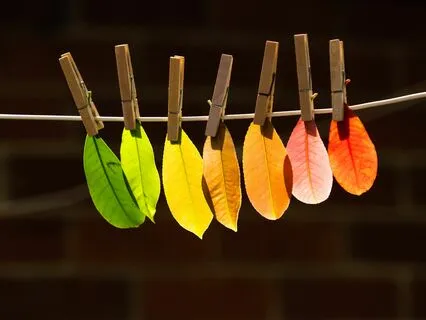 Hearthbeat Meditation For Full Attention Cello + Xilofono