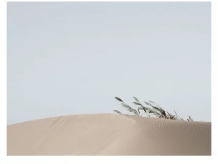 Emotional Regulation - Heartmath