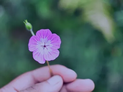 Focus On Your Heart's Desire