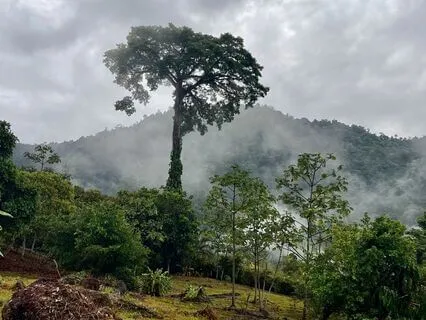 Hearts Like Water - A Sound Experience & Meditation