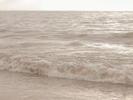 Hearts Wisdom Meditation