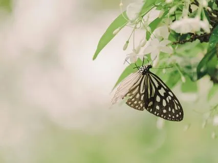 Heartspace Activation – Heal & Transform With 528 Hz