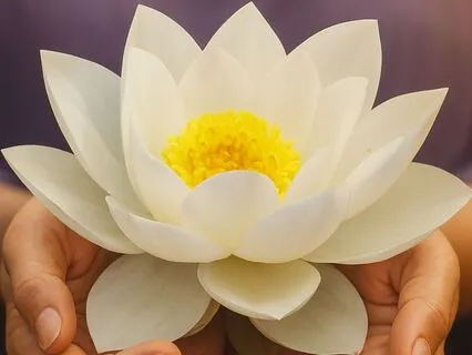 Heartspace Sankalpa Meditation – Receiving Your Sankalpa