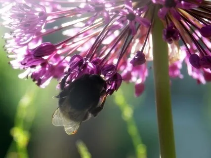 Kaastunde Jagamine Ja Vastuvõtmine