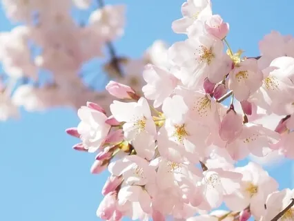 Heatlh + Happiness Connection - Weekly Energy Boost