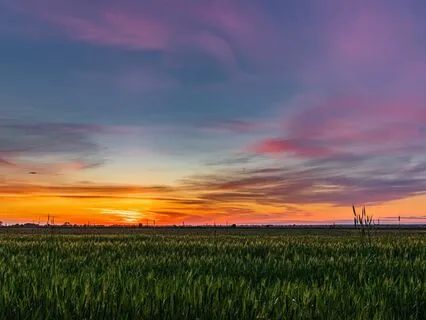 Heaven Healing Music For Stress Relief