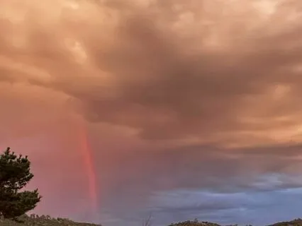 Heavenly Breath, 1st Set, Nine Bags