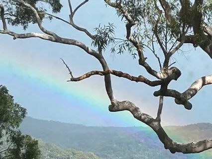 Heavenly Breath 3rd Set, Alternate Nostril And Lymph