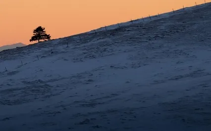 Heavenly - Day Or Night - Healing Music