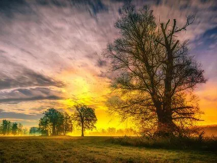 Heavenly Harp Prayer - Relaxing Soothing Embrace - 45 Mins