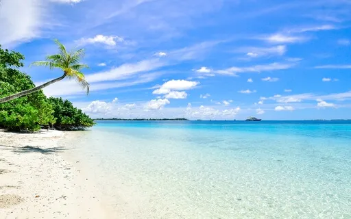 Heavenly Healing Music (417Hz)