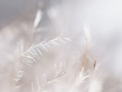 Heavenly Sound Bath – Music of the Angels – Angelic Music