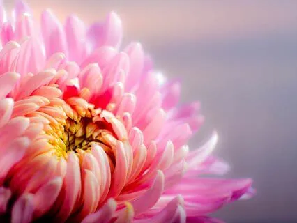 Heavenly Tranquility With 432 Hz