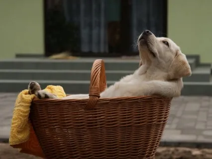 Heaviness Relaxation