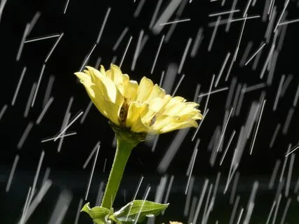 Heavy Rain For Deep Sleep And Relaxation