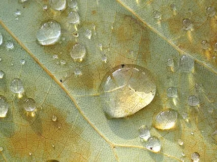 Heavy Rain - Soothing Nature Sounds & Natural White Noise