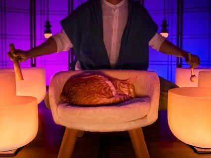 Heavy Sleep Sound Bath