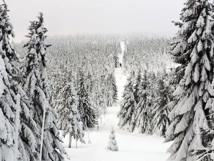 Heavy Snowfall In A Silent Forest – Winter Nature Ambience