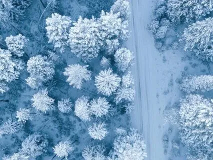 Heavy Winter Storm & Wind Sounds For Sleeping 1 Hour