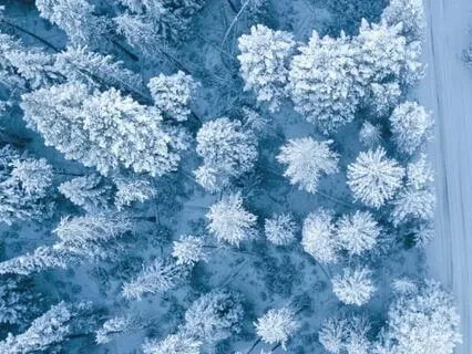 Heavy Winter Storm & Wind Sounds For Sleeping 15 Minutes