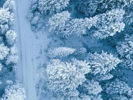 Heavy Winter Storm & Wind Sounds For Sleeping 30 Minutes