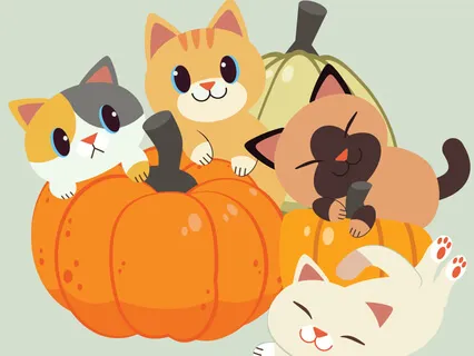 Heidi, Cherry & Vaya Go Vegan 