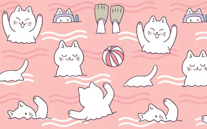 Heidi Cherry & Vaya - Switcharoo