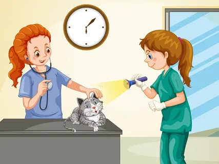 Heidi Cherry & Vaya - The Operation