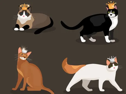 Heidi, Cherry & Vaya - Vision Board Boyfriends (Children's Meditation Story)